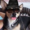 mannybandito
